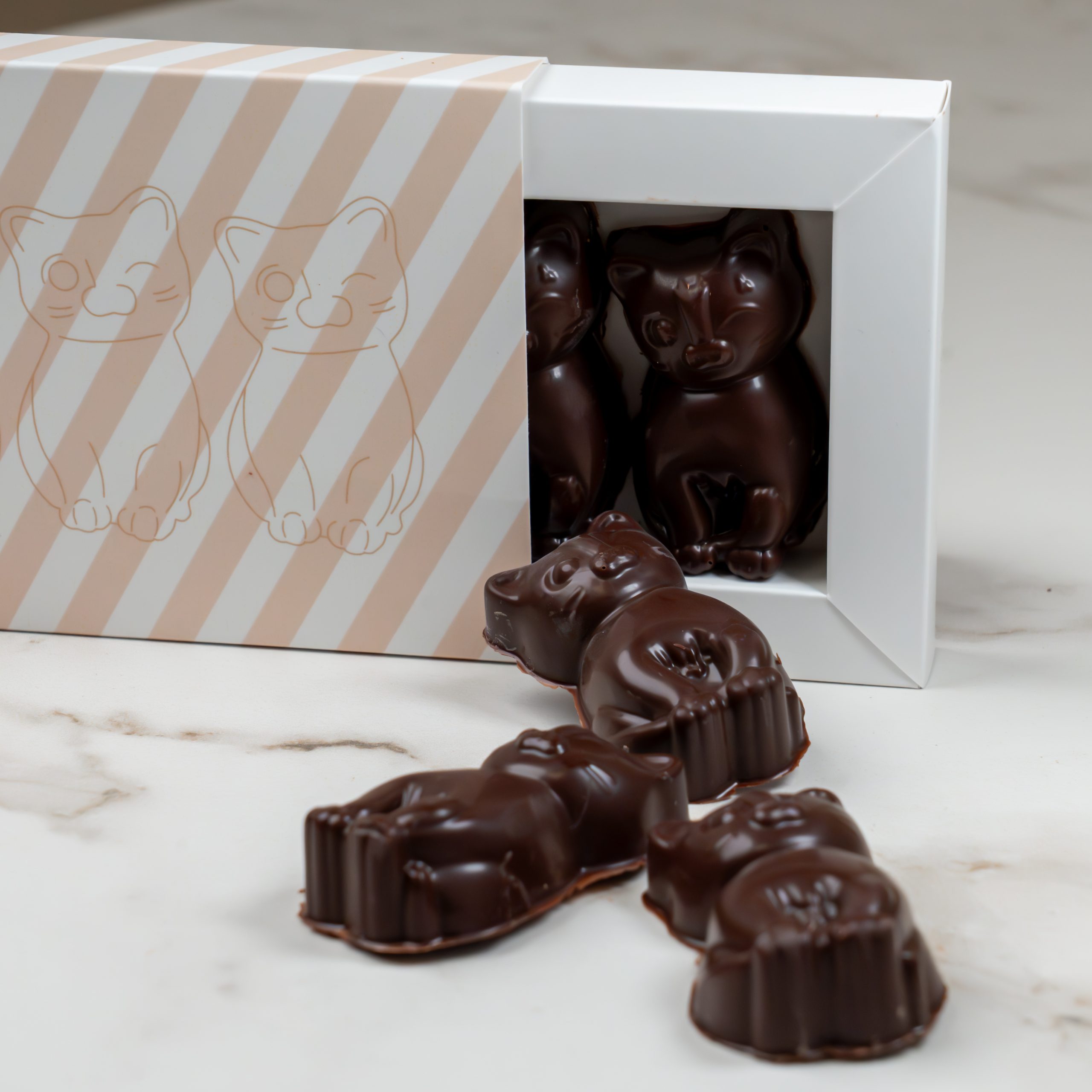 DSC09441 CHATONS GUIMAUVE CHOCOLAT NOIR x6