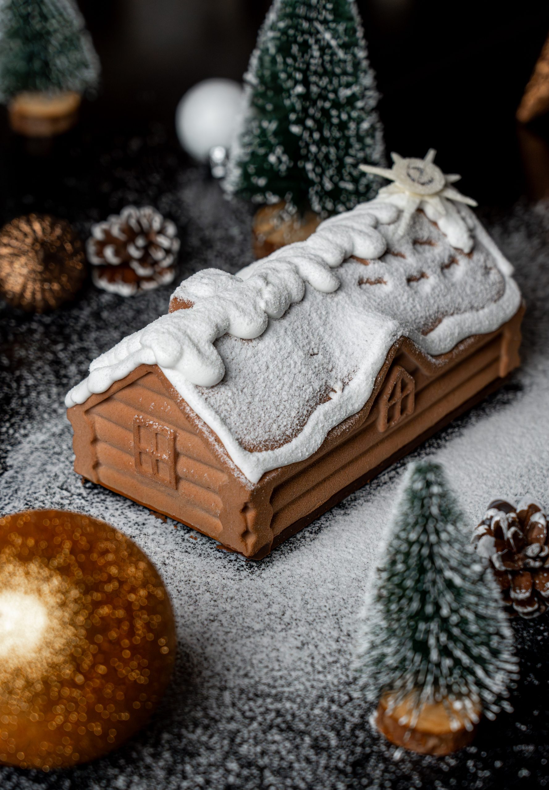 DSC00679 Chalet de l'étape - Bûche d'exception