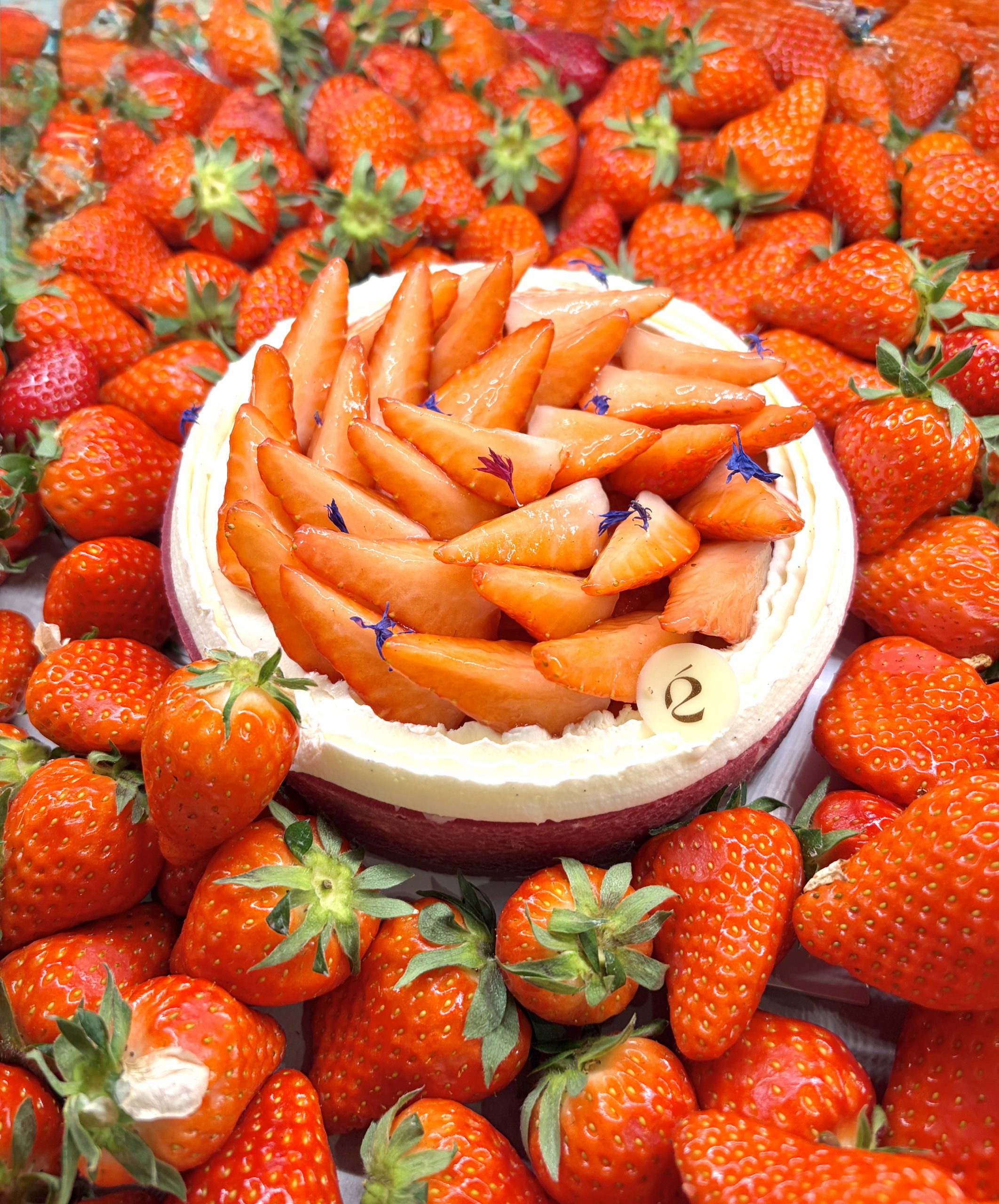 FRAIZ’RHUBARBE